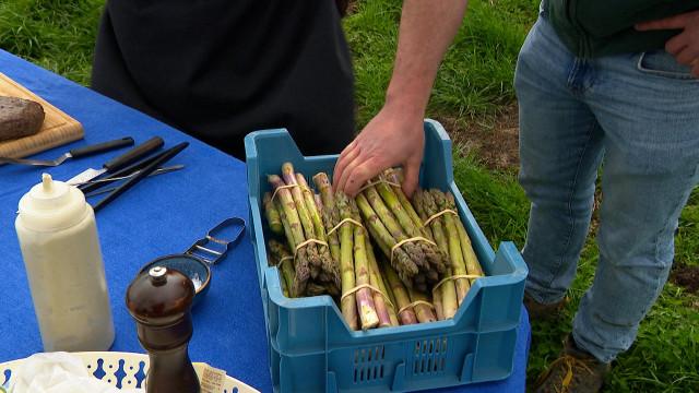 Rosoux: la saison des asperges a démarré avec trois semaines d'avance!