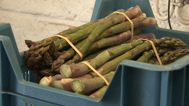 Rosoux: la saison des asperges vient de débuter