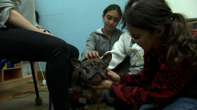 Sensibilisation au bien-être animal dans les écoles de la ville de Liège