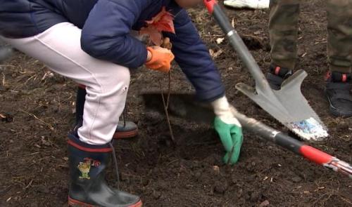 Seraing: plantation d'une mini-forêt urbaine