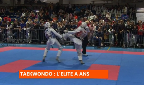 Taekwando: 24ème édition de l'International Ans Trophy
