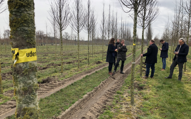 Tram En Commun S4#26 : sélection des arbres pour le tram