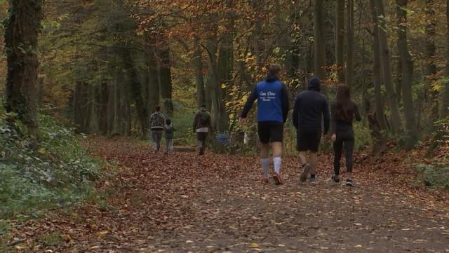 Le virus se transmet-il lors d'une promenade ?