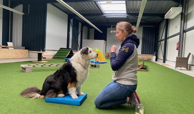Un nouveau centre canin polyvalent débarque à Huy