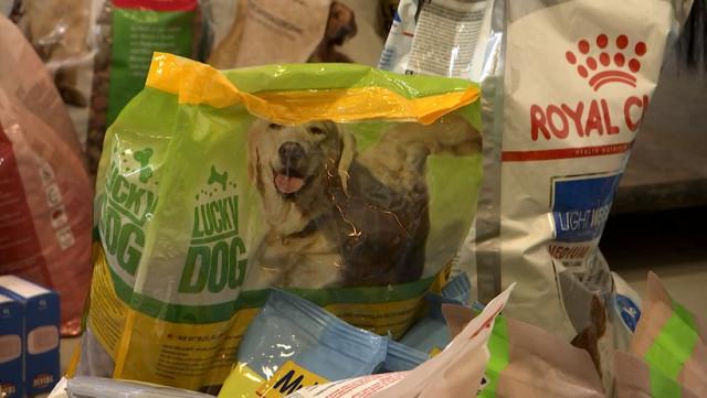 Une chaîne solidaire pour les animaux de compagnie