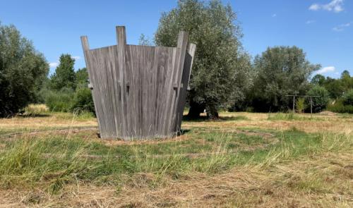 Village du Saule : nouveautés et bonne santé !