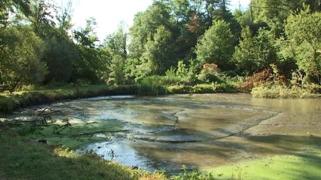 Visé: Gros lifting pour les Etangs de la Julienne