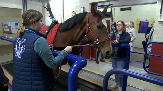 Visite ministérielle chez les vétérinaires de l'ULiège