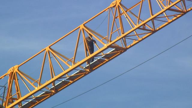 Vottem : ils grimpent sur la grue pour avoir leur salaire