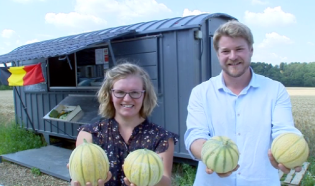 Wanze : il cultive des melons en Wallonie 