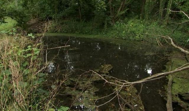 Waremme: 2 sites naturels en voie de réhabilitation