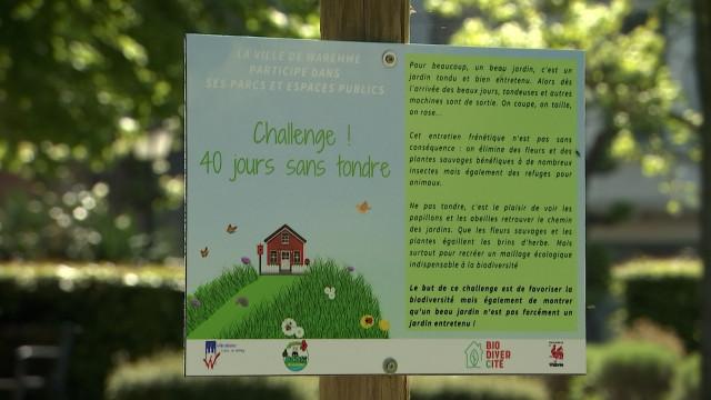 Waremme: 40 jours sans tondre pour la biodiversité