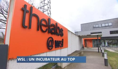 WSL parmi les incubateurs les plus performants au monde