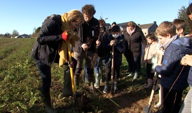 Yes, we plant! : Une haie pour le Pedibus à Amay