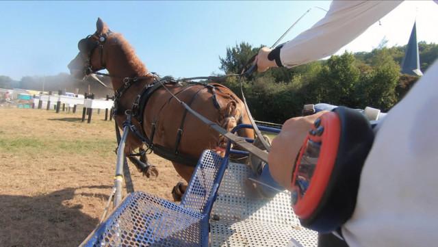 Zapping sports: Rubens, le poney "liégeois", N°1 à Aywaille